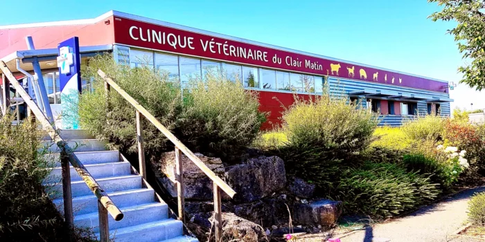 Clinique-clair-matin